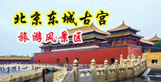 猛日大逼中国北京-东城古宫旅游风景区